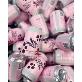 Åre Soda Svarta Vinbär 33cl 24 st