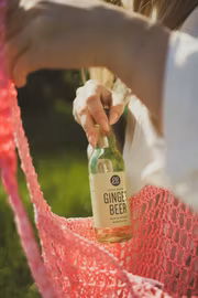 Ekobryggeriet Drink Mixers Ginger Beer 20cl 12 st