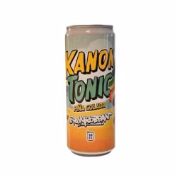 Kanon Tonic Pina Colada 33cl 24st