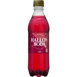 Vasa Bryggeri Hallonsoda 50cl 12st