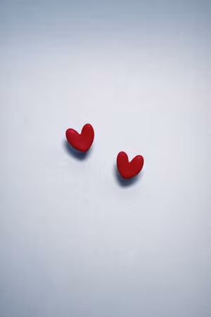 HJÄRTA mini (№ 1)