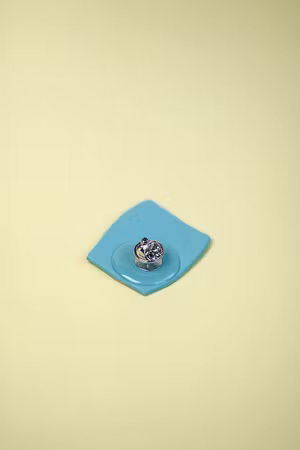 BROSCH (№ 1)