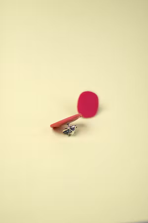 BROSCH (№ 2)
