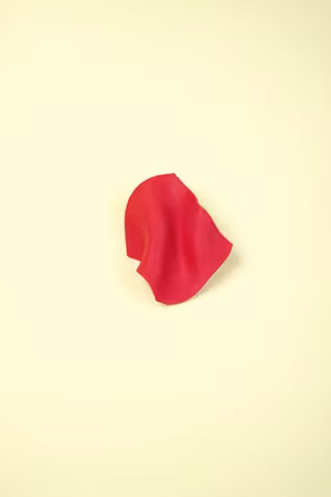 BROSCH våg (№ 1)
