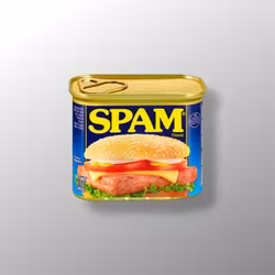 Spam 340g