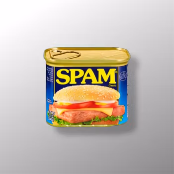 Spam 340g