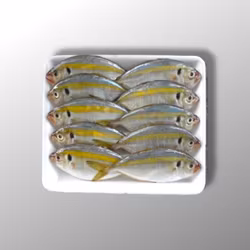 Yellowstripe Scad - 1kg