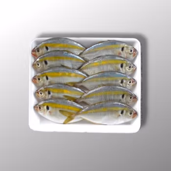 Yellowstripe Scad - 1kg