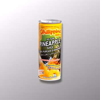 Pineapple Juice - Philippine Brand 250ml