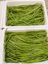 Long Beans Sitaw 129 per kg Pls contact us before ordering 0767524399