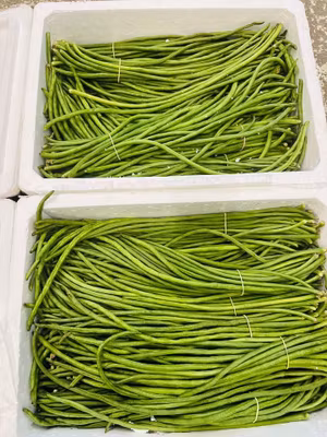 Long Beans Sitaw 129 per kg Pls contact us before ordering 0767524399
