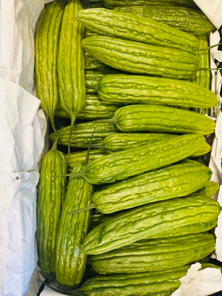 Long Bittermelon 149kg Pls contact us before ordering 0767524399