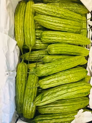 Long Bittermelon 149kg Pls contact us before ordering 0767524399
