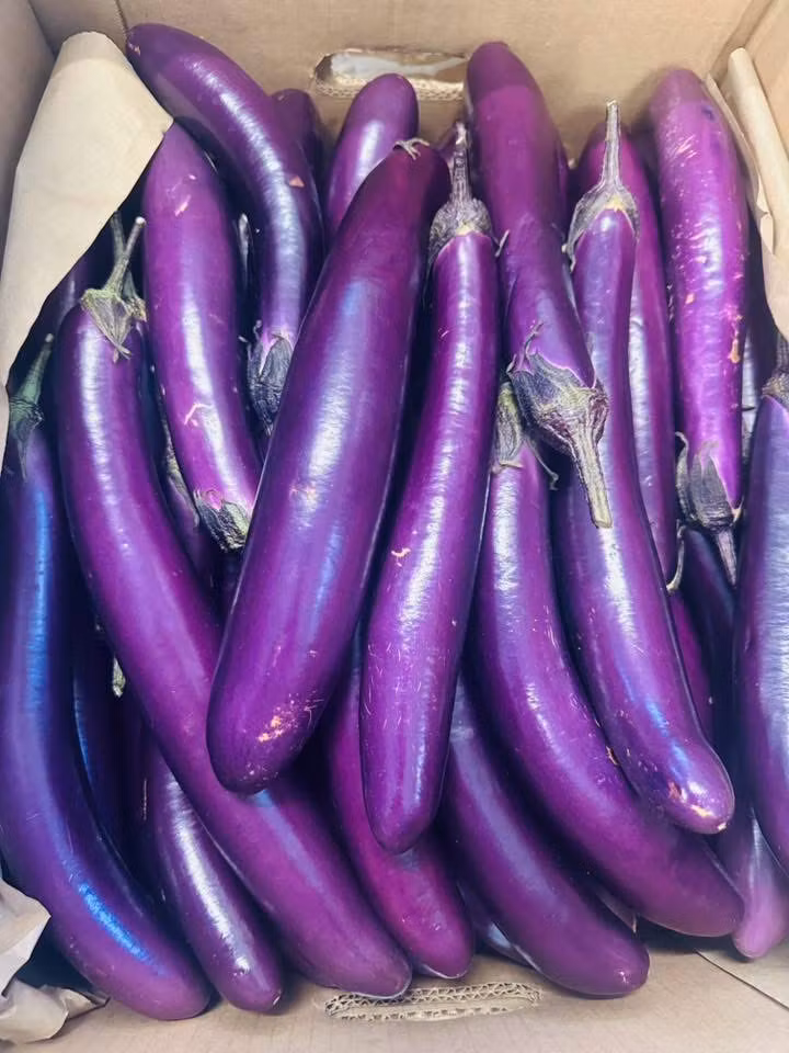 Long eggplants 119 per kg. Pls contact us before ordering 0767524399