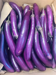 Long eggplants 119 per kg. Pls contact us before ordering 0767524399