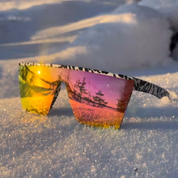 Raggarbrillor Rosa/Orange (Zebra Båge)