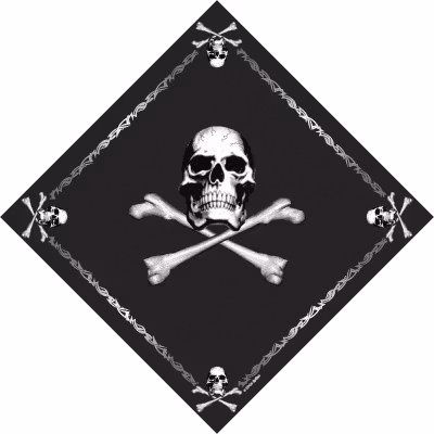 ROTHCO Skull Jolly Roger Bandana