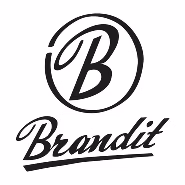 Brandit Urban Legend Shorts - Swedish Camo