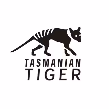 Tasmanian Tiger Cuff Case Open MKII - Black