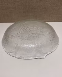 DJUPTALLRIK, glas, "Lövet" Aspen, Luminarc, France.