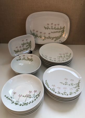 DINNER SERVICE 21 pieces, porcelain, Thomas Germany.