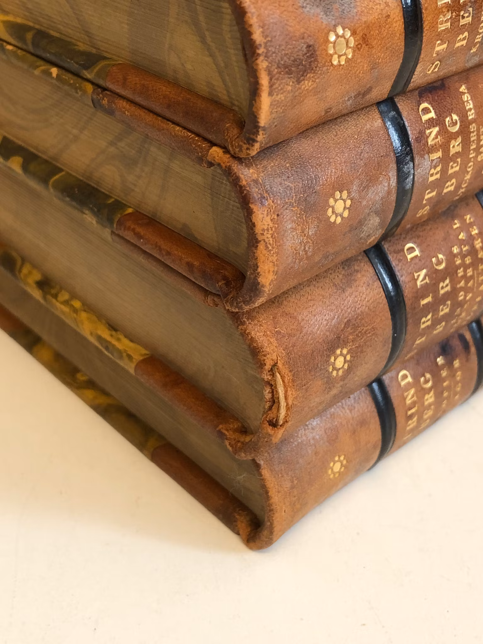 AUGUST STRINDBERG. Books, 20 volumes, Albert Bonniers publishing house, 1928/29.