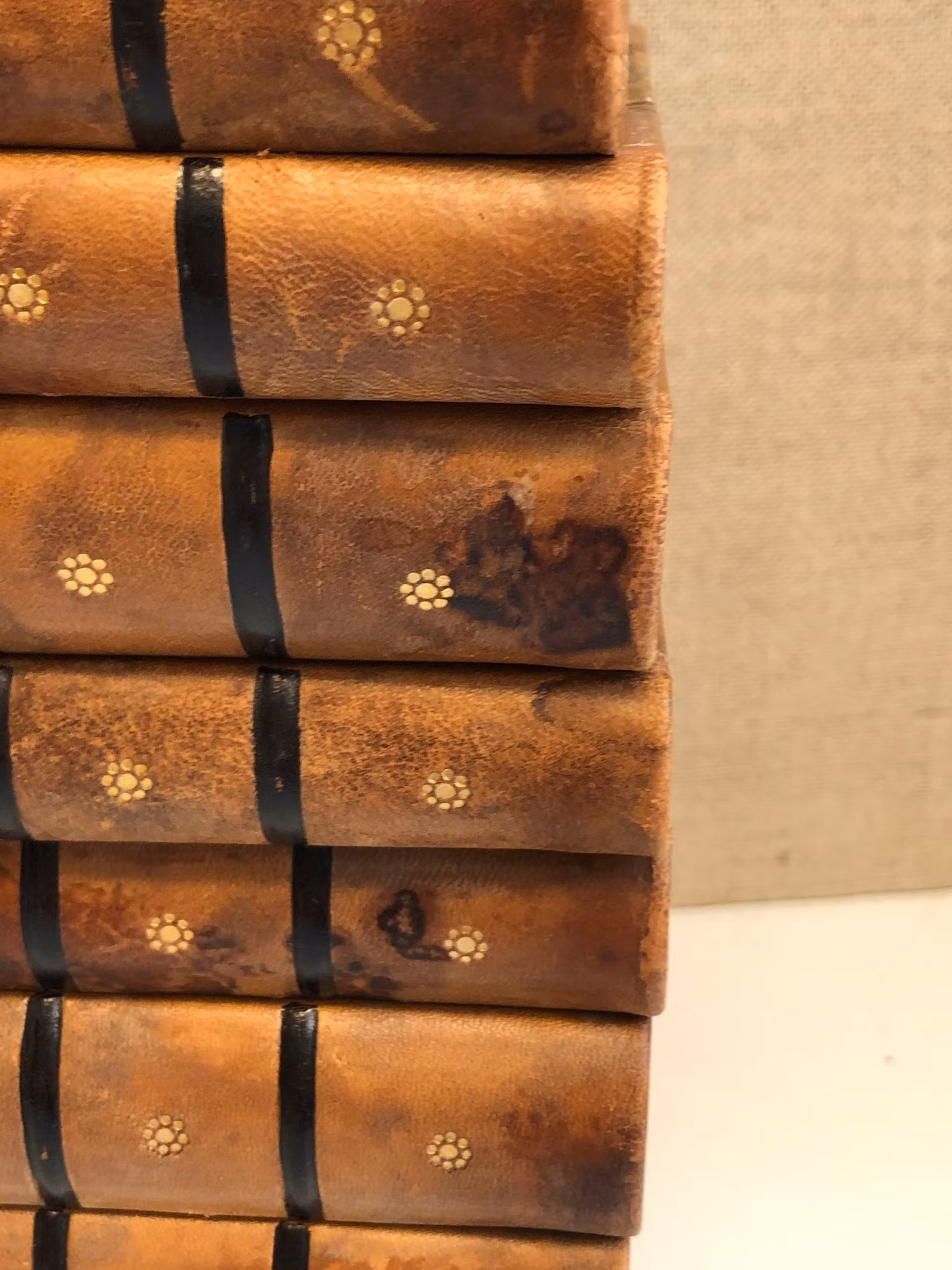 AUGUST STRINDBERG. Books, 20 volumes, Albert Bonniers publishing house, 1928/29.