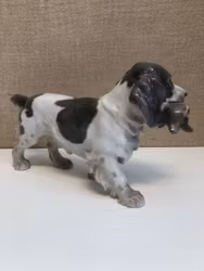 LAURITS JENSEN. Figurin, porslin, "Cockerspaniel" Bing & Gröndahl, Danmark.