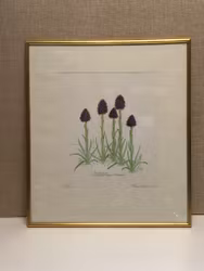 ROLF LIDBERG. "Brunkullan", color lithograph, signed, numbered 73/150 and dated -74.