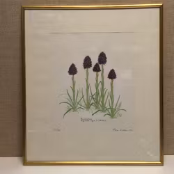 ROLF LIDBERG. "Brunkullan", färglitografi, signerad, numrerad 73/150 och daterad -74.