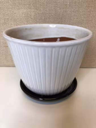 FLOWER POT WITH FLOWER SAUCER, ceramic, probably Steninge, 1950s/60s