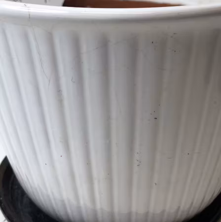 FLOWER POT WITH FLOWER SAUCER, ceramic, probably Steninge, 1950s/60s