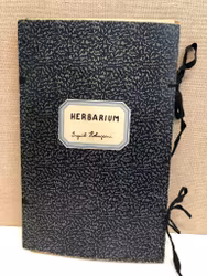 HERBARIUM, Lycksele, 1950-talets början.