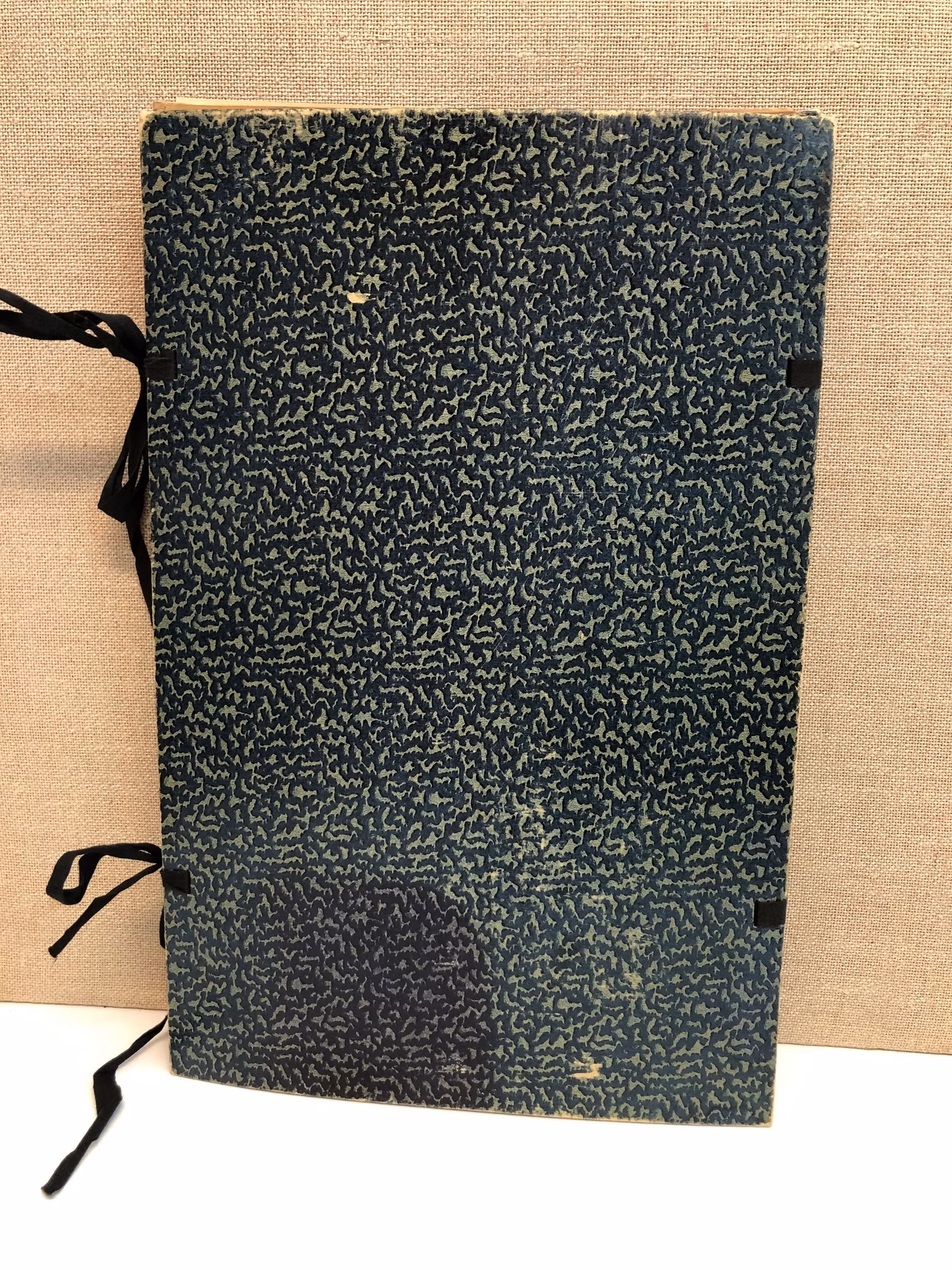 HERBARIUM, Lycksele, 1950-talets början.