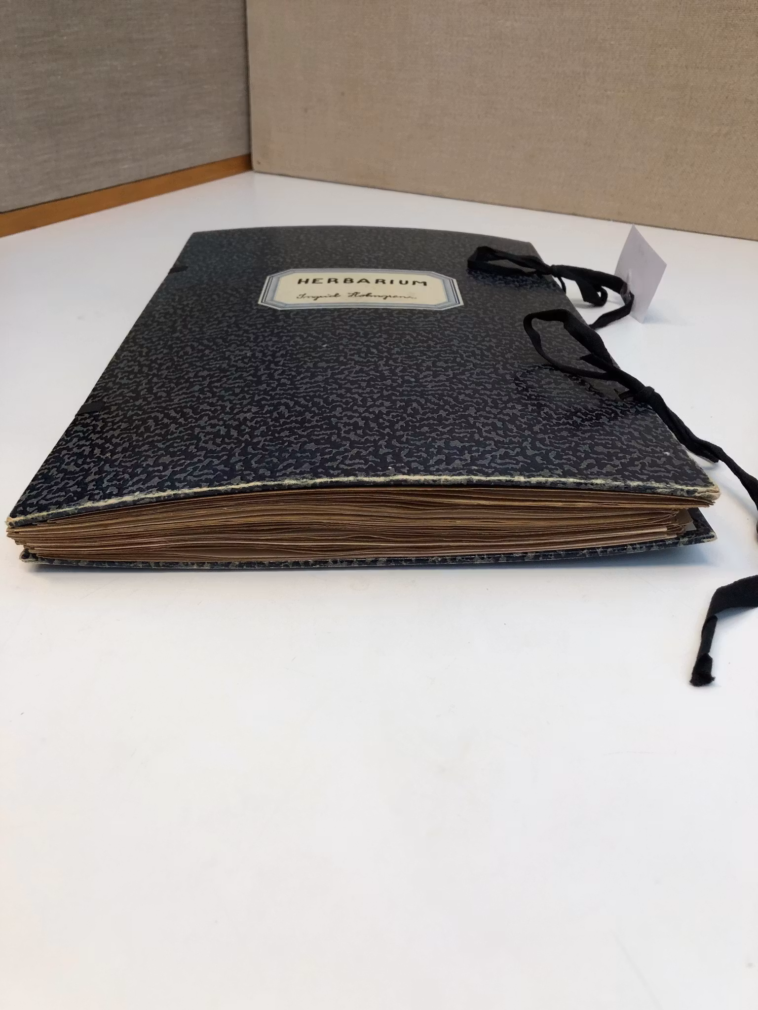 HERBARIUM, Lycksele, 1950-talets början.