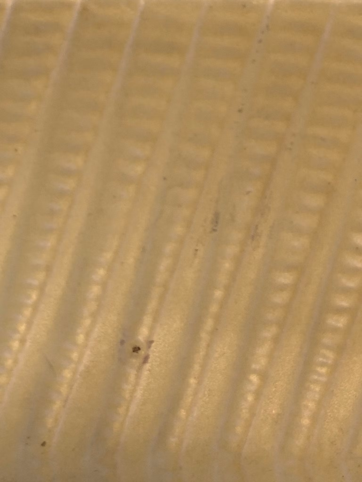 STIG LINDBERG. Fat, stengods, "Reptil 264", Gustavsberg.