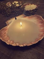 Shell Candel - Kamskjell