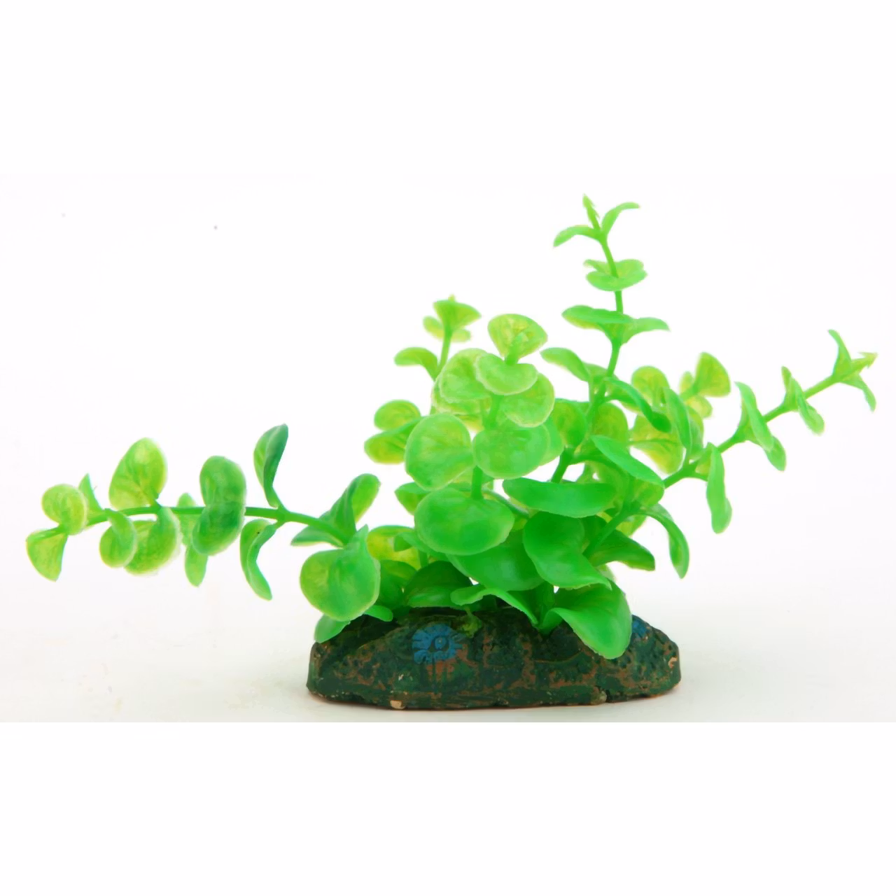 Plastik Planter - aquahobby