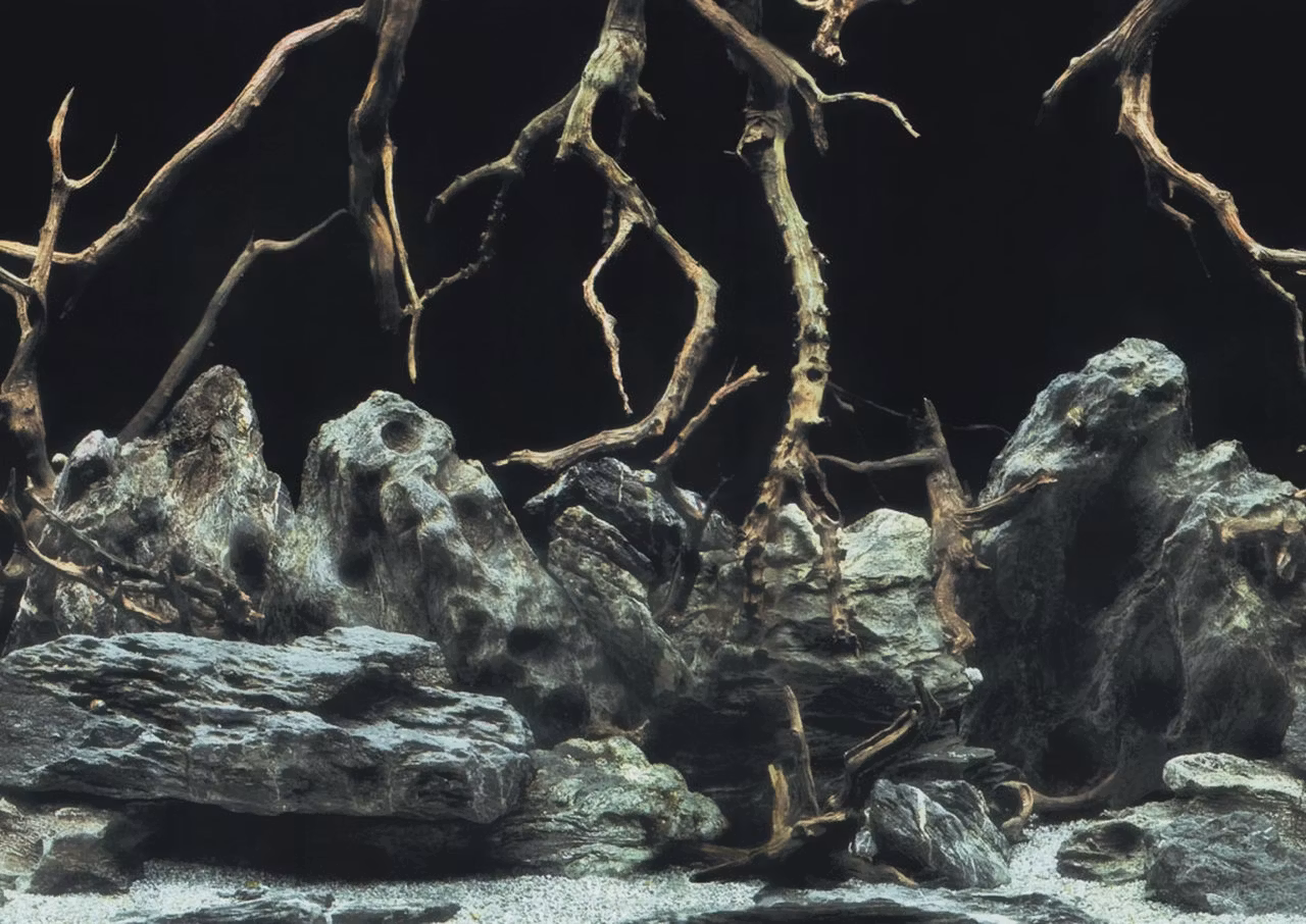 Naturlig Akvariebaggrund med Trærødder og Vand - 100x50cm