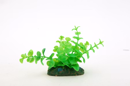 Kunstplanter til Akvariet - Nemt Vedligehold og Flot Udseende - NP-10 08081