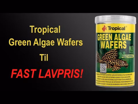 Green Algae Wafers 1000 ml. / 450 g.