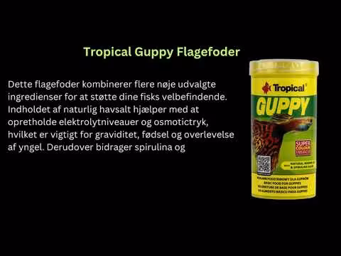 Tropical Guppy Flagefoder