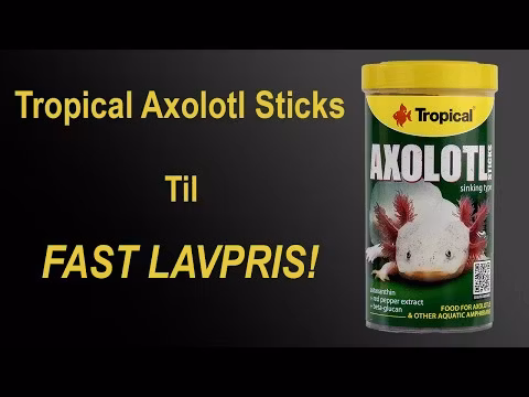 Axolotl Sticks 250 ml. / 135 g.