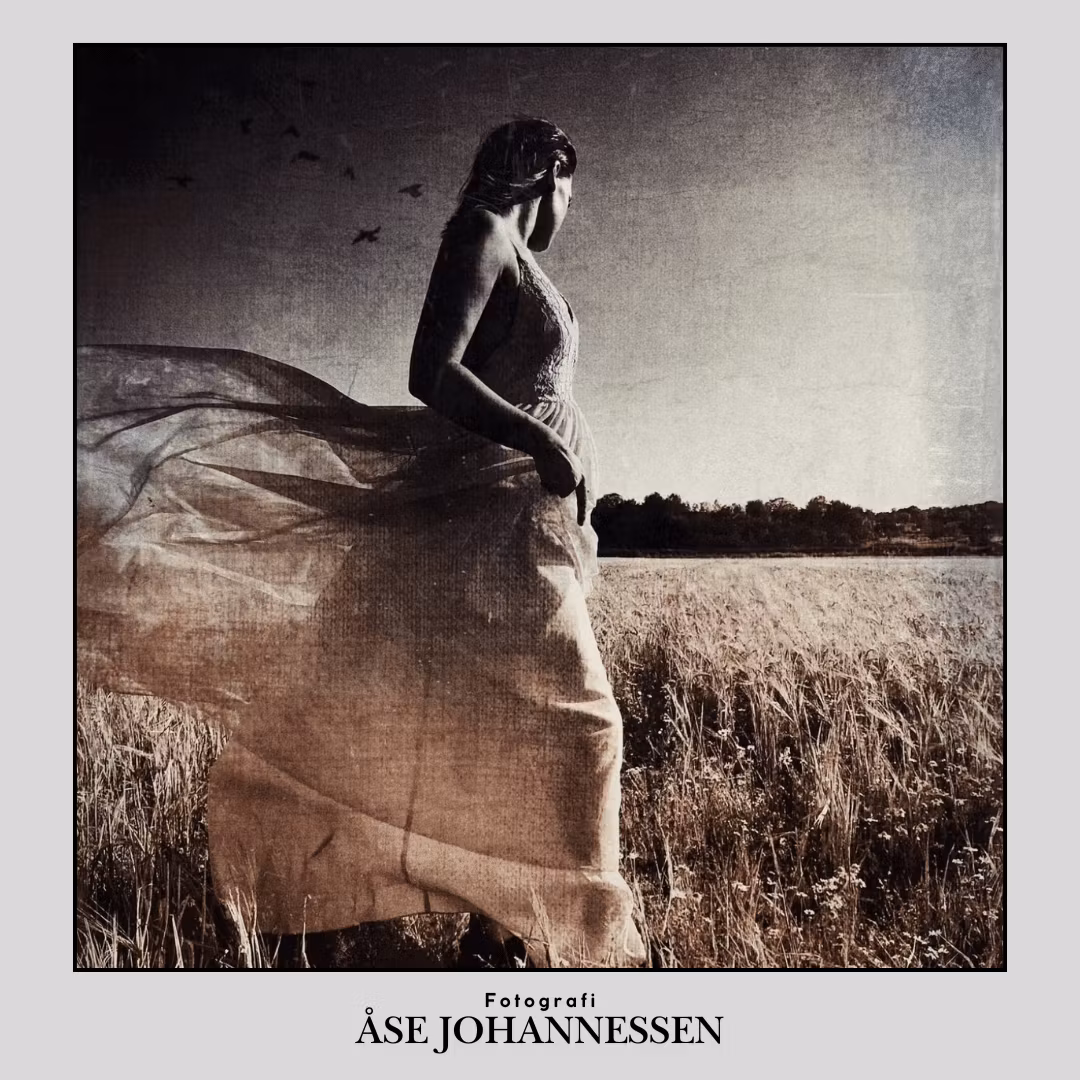 Åse Johannessen - Galleri Scandinavia