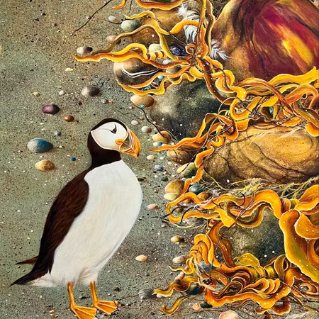 "Lunnafågeln" av Bjørn Lindow, Akryl på duk 80x100cm
