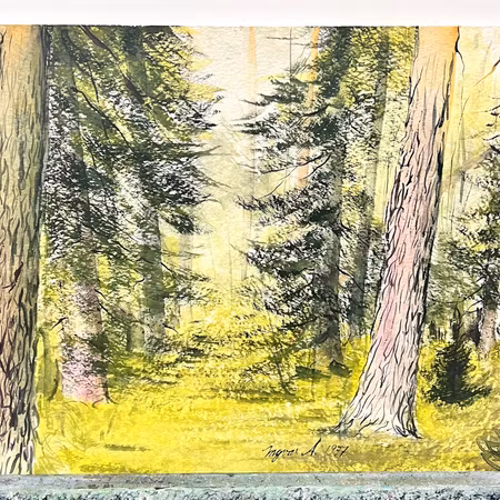 Ingvar Andersson, Akvarell  "Vårskog", bladstorlek  51 x 36,5 cm.