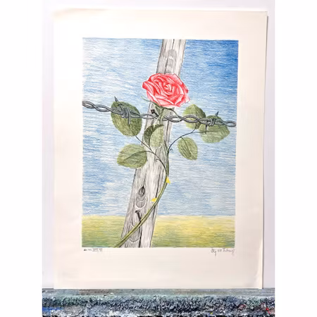 "Rosen", Färglitografi av Stig "Vidi" Åsberg. 47x62 cm