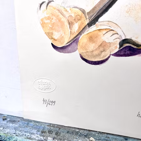 "Uppklädd Nalle" Handkolorerat färglitografi av Catharina Göth. 45x65 cm