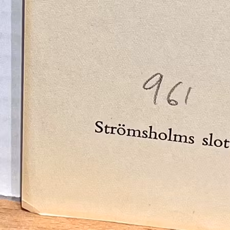 "Strömsholms slott" Konsttryck efter träsnitt av Carl Palme. 42x48 cm