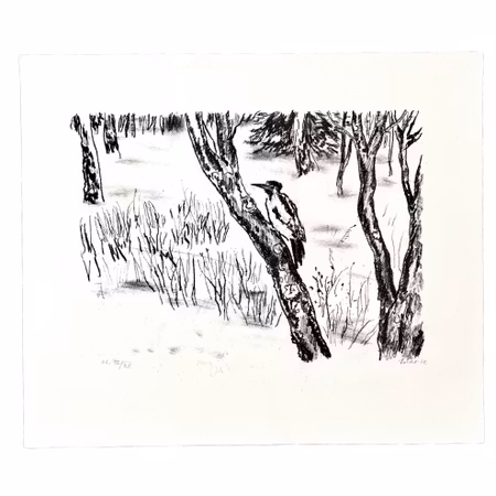 "Fågeln" Litografi av Evy Låås. 36,5x32 cm